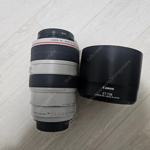 캐논 EF 70-300mm F4-5.6L IS USM 할매백통