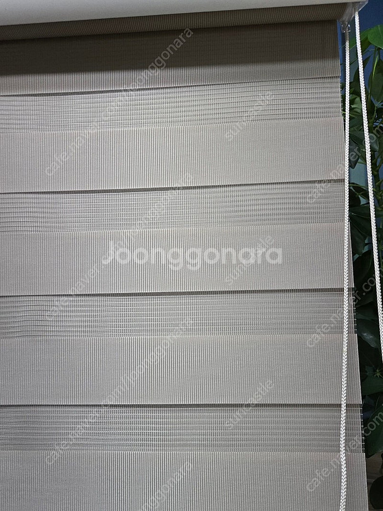 콤비 블라인드 다크머쉬룸 색상 새상품 판매--1