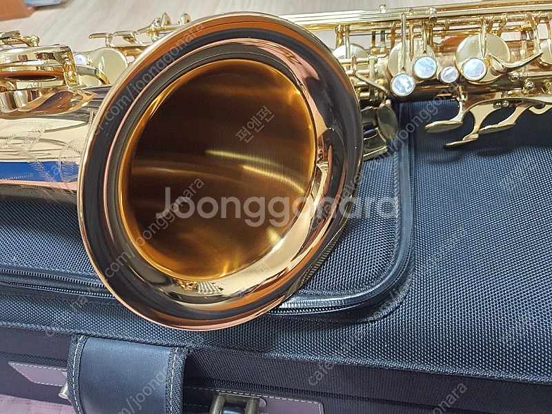 색소폰 테너 팝니다(야나기사와)--1