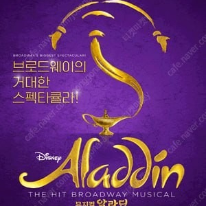 뮤지컬 〈알라딘〉 한국 초연 (ALADDIN The Musical)2월공연 VIP석 B구역 연석 양도판매합니다.