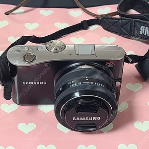 삼성 미러리스 카메라 NX100