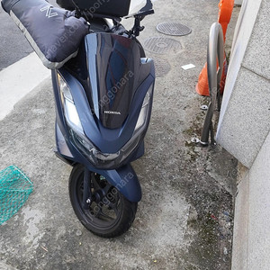 대구 PCX ABS 24년식