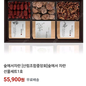 산림조합중앙회 숲에서자란 1호