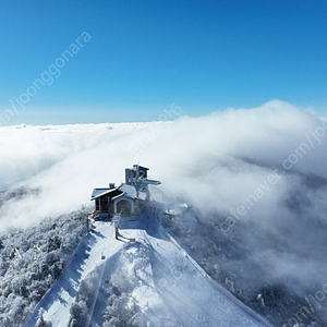 1월 25일/26일 용평리조트 그린피아 콘도 가실분!!