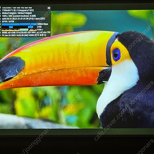 UHD 4K 프로젝터 LG BU50NST