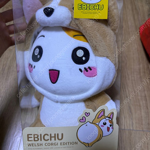 에비츄 웰시코기 에디션 25cm