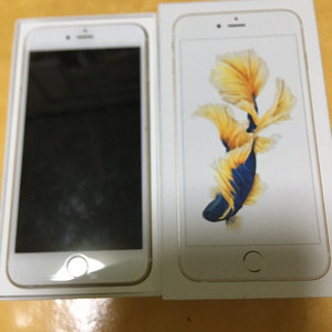 iPhone (아이폰) 6s Plus (플러스 +) 64gb 골드 한국 출시 모델 양도나 판매해주실 분 찾고 있습니다