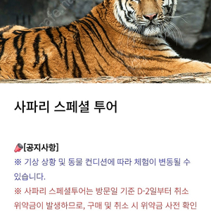 에버랜드 사파리 스페셜투어 쉐어 하실분 2월 23일 일요일