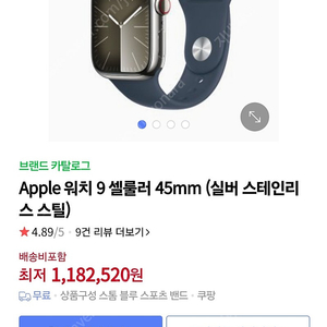 애플워치9 셀룰러 스테인리스 실버 45mm 블루 스포츠 밴드