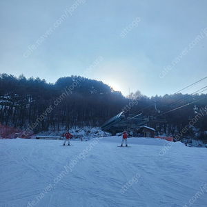 웰리힐리파크 콘도 설연휴 1/26일 패밀리