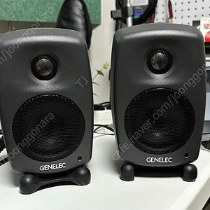 genelec 6010b 제네렉