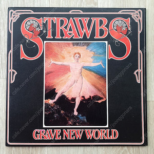 Strawbs - 5집 Grave New World