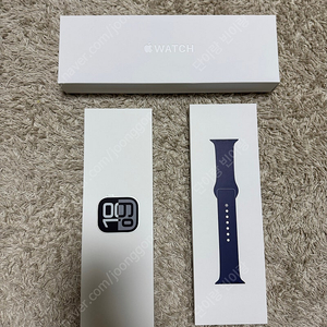 Apple 애플워치 10 GPS 46mm 실버 (S급)