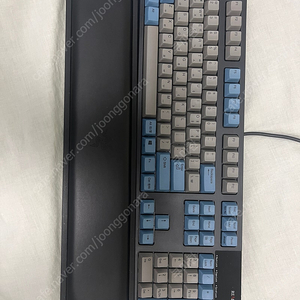 리얼포스r2 풀배열 45g 균등 + 레이저 팜레스트