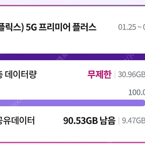 엘지 LG 유플러스 데이터 2G