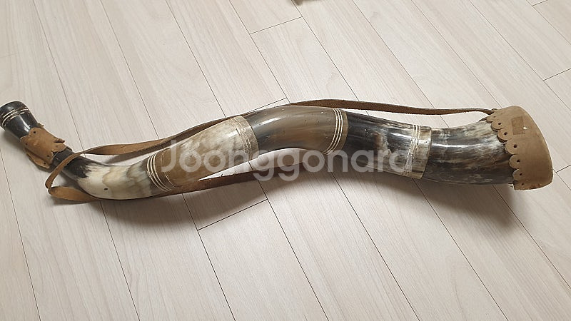 뿔피리 무쏘피리 장식용 천연뿔피리 양각나팔--2