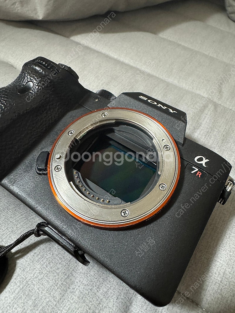 소니A7R3 + 시그마1424 세트--1