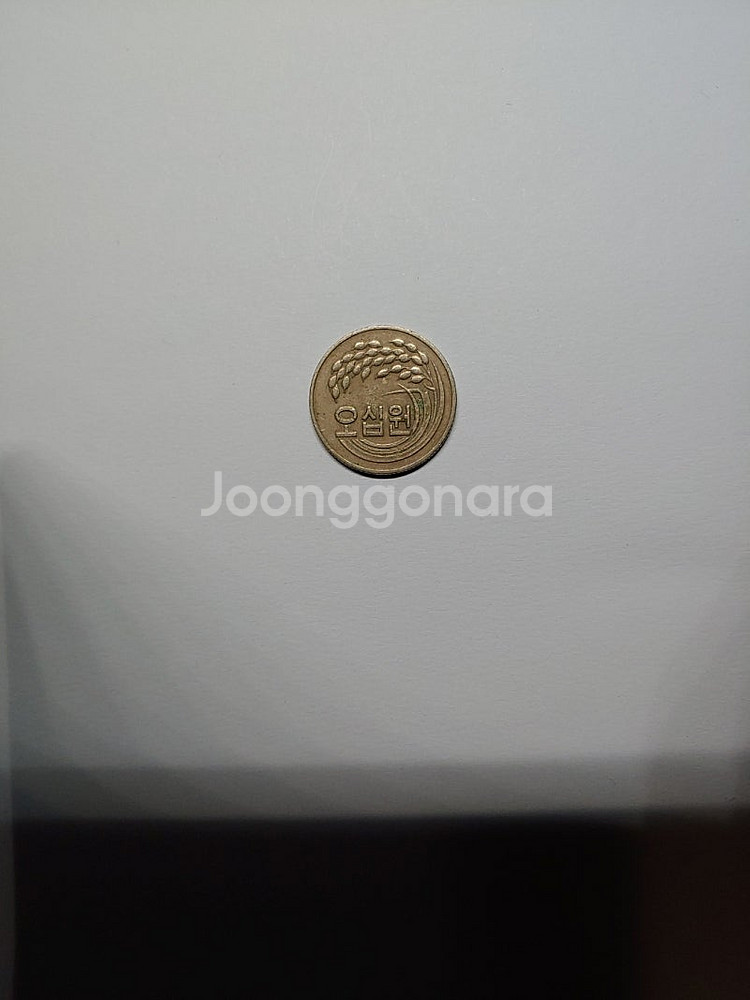 1982년 10원,50원,100원,500원 동전 판매 ...--2