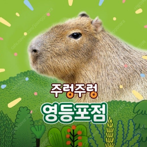 주렁주렁 (하남, 동탄라크몽, 영등포) 주중/주말 사용 가능 (바로 사용 가능)