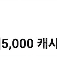 카카오 웹툰 5000캐시