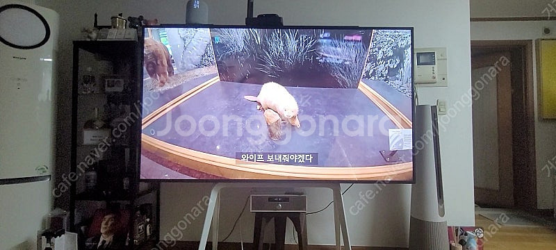 75인치 4K 화질 티비 양도합니다(출산이슈, 상태좋음...--4