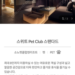 대명비발디 소노펫 / 스위트 Pet Club 1월28일