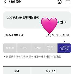 2025년도 현대백화점 발렛 주차권 판매(자스민 블랙