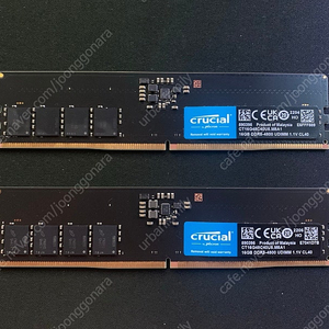 크루셜 DDR5 4800 mhz 16g 2개 32g 판매합니다.