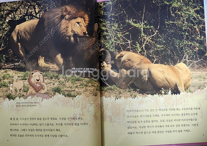 웅진북클럽 수풀떠들썩 자연탐험 50권 최신개정판/ QR...--5