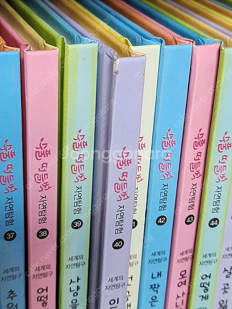 웅진북클럽 수풀떠들썩 자연탐험 50권 최신개정판/ QR...--6