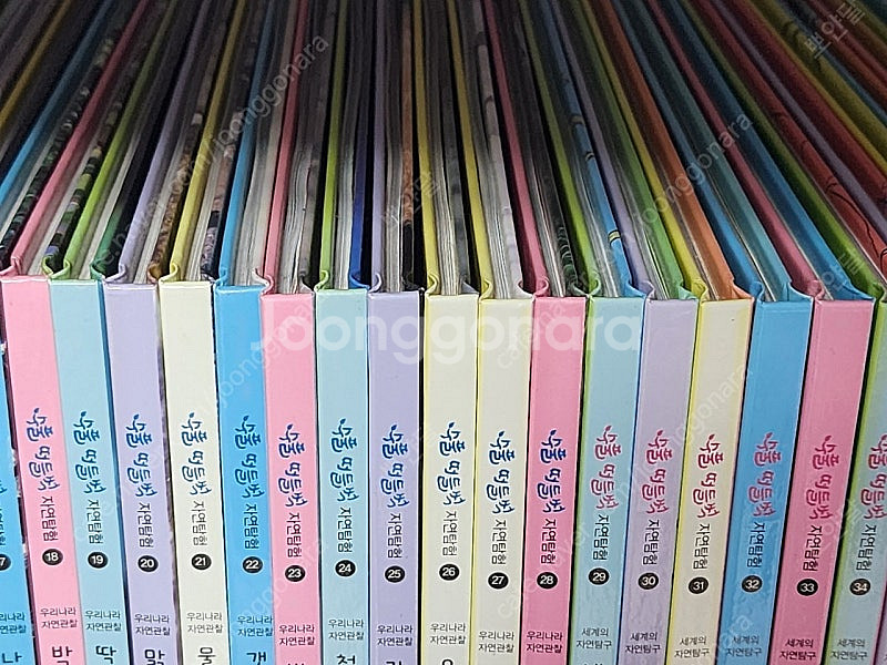 웅진북클럽 수풀떠들썩 자연탐험 50권 최신개정판/ QR...--7