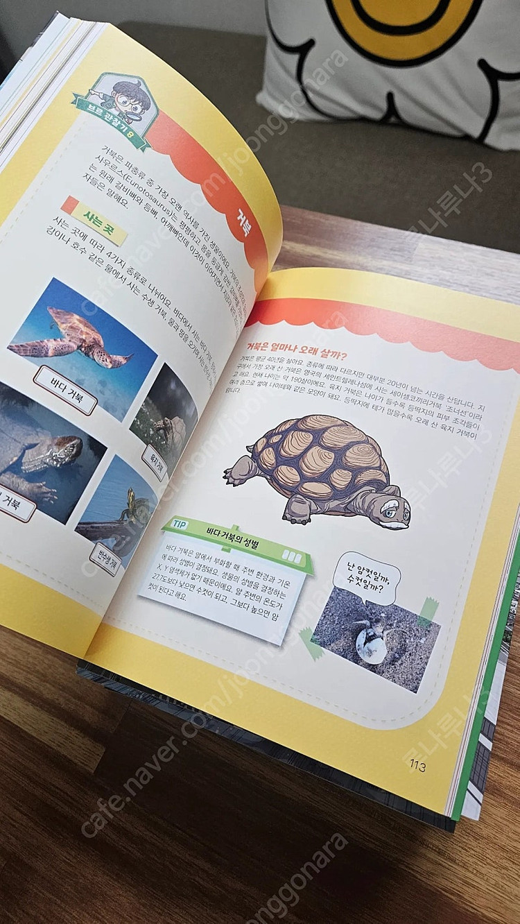 곤충보다작아진 정브르 5권+ (덤)에그박사 채집일기3권--3