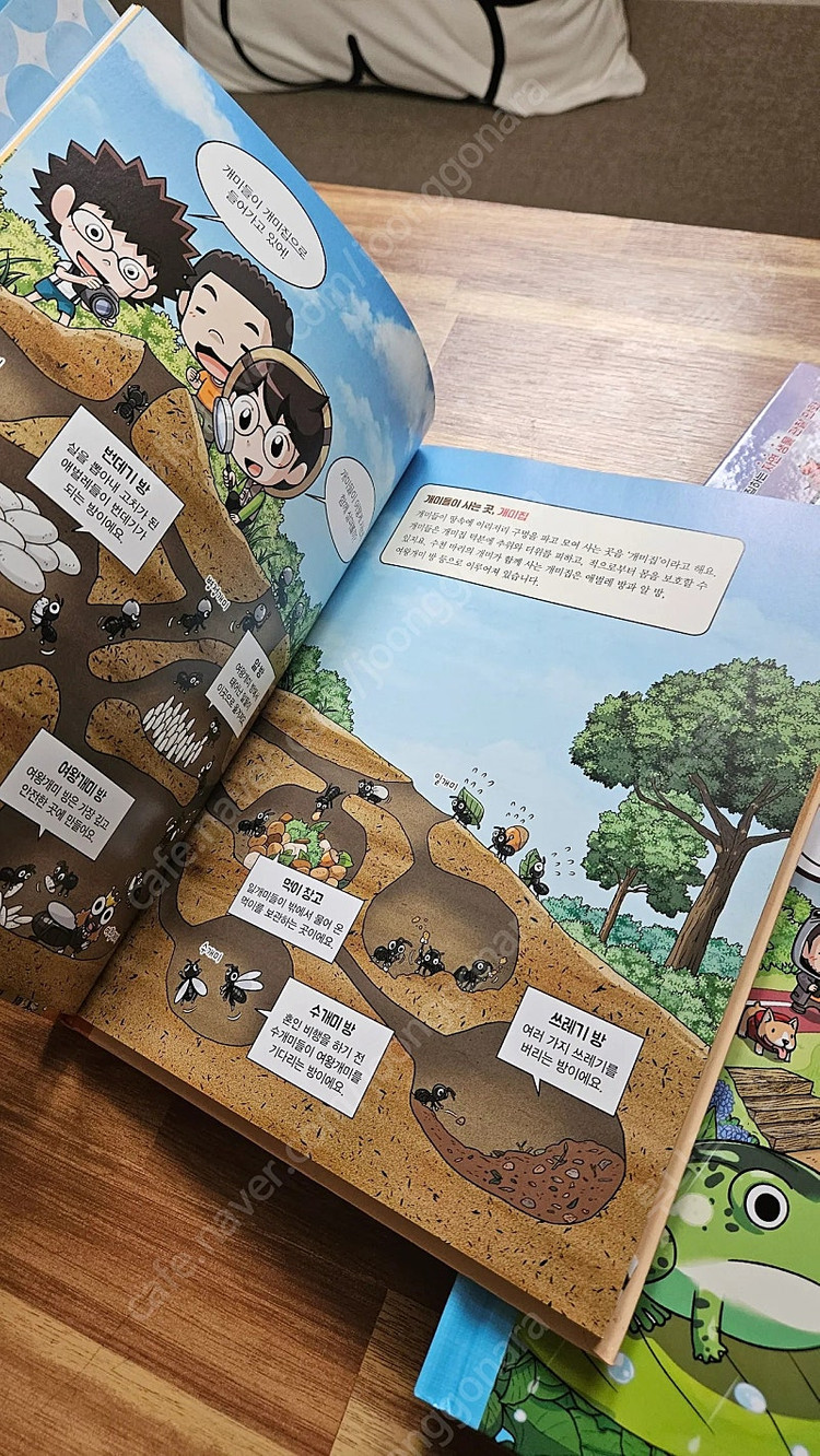 곤충보다작아진 정브르 5권+ (덤)에그박사 채집일기3권--7