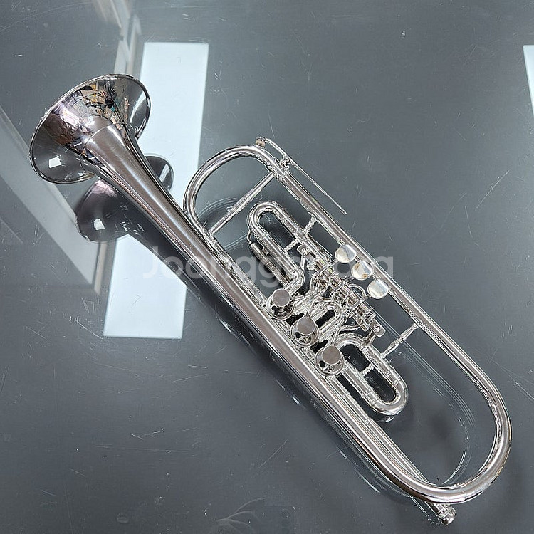 Berndt C.Meyer Bb 로터리 트럼펫 판매합니...--0