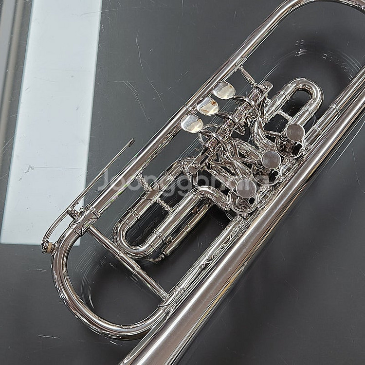 Berndt C.Meyer Bb 로터리 트럼펫 판매합니...--4