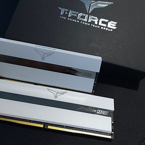 11만) 팀그룹 T-Force DDR4-3200 CL16 XTREEM ARGB 화이트 (32GB/16Gx2)