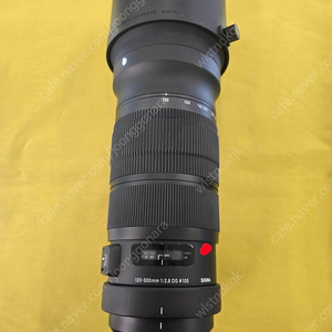 시그마 120-300mm 2.8 스포츠 니콘 f 마운트