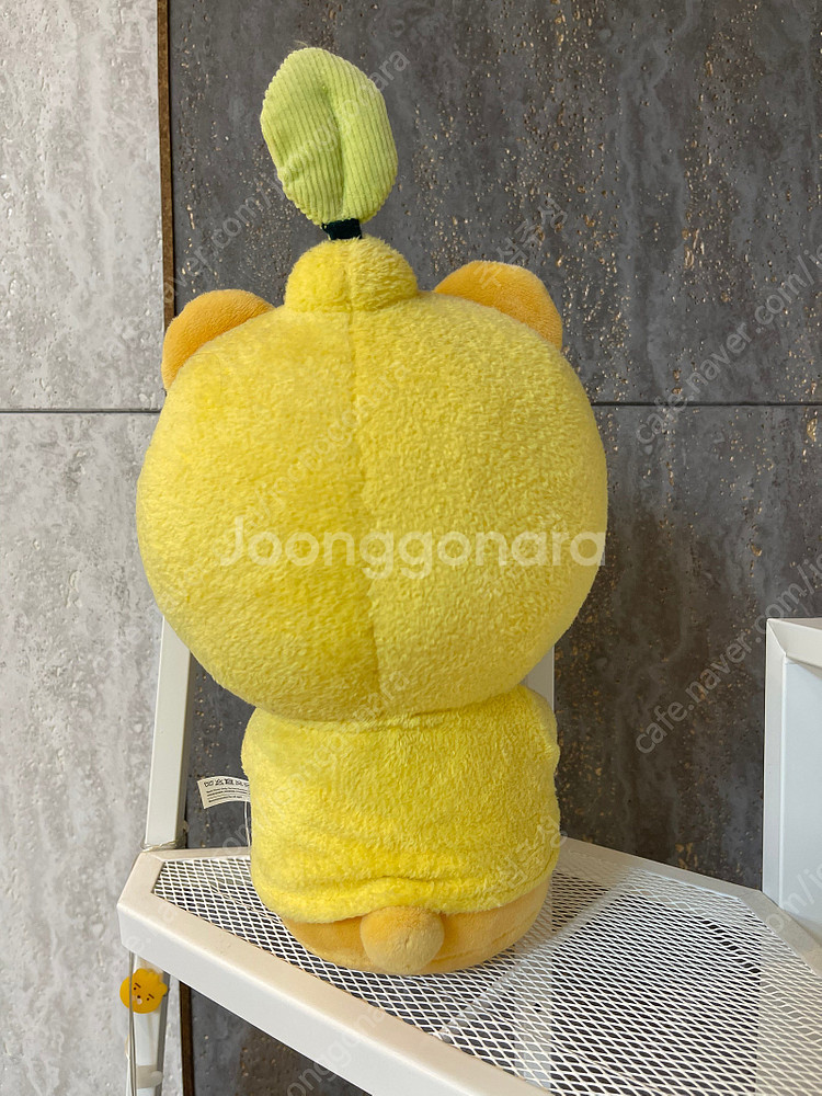 카카오 라이언 인형, 라인 브라운 인형, 재키 인형 팝...--5