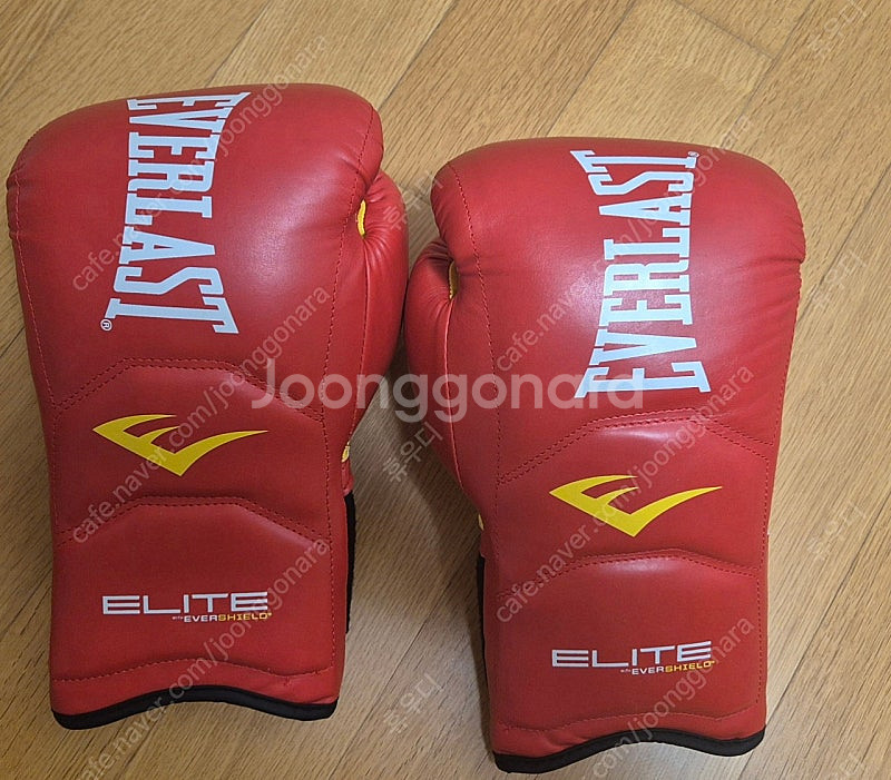 에버라스트 엘리트 복싱 글러브 14oz--0