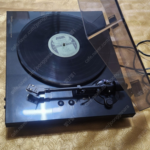 DENON DP-300F 데논 턴테이블 판매