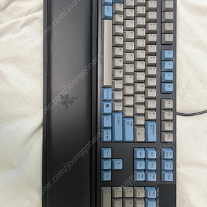 리얼포스r2 풀배열 저소음 45g 균등 + 레이저 팜레스트
