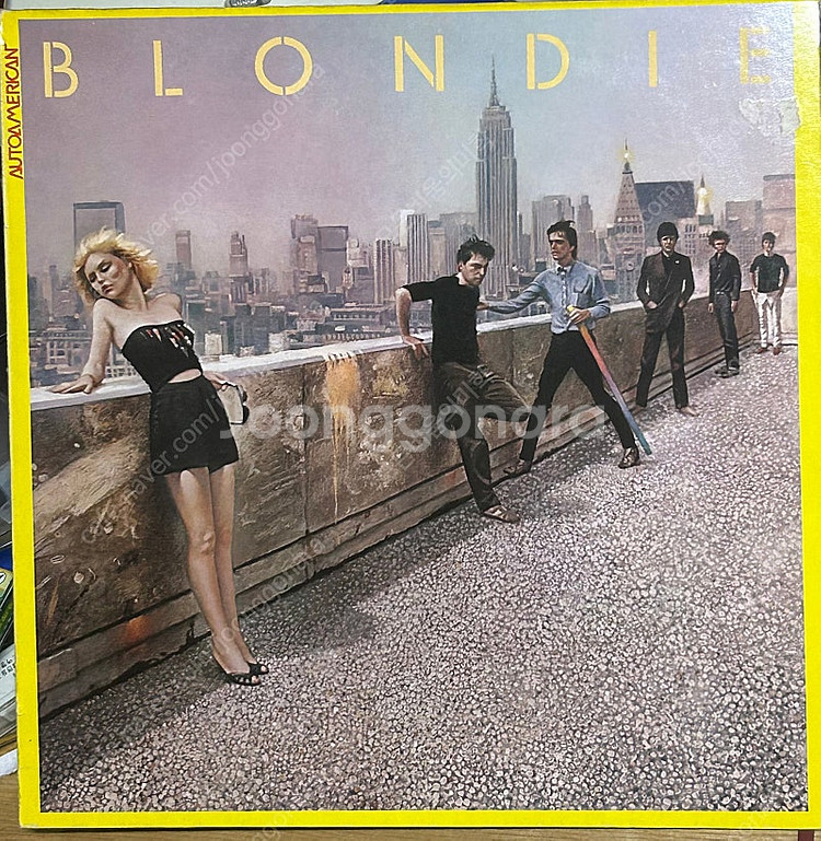 러브스토리ost,비틀즈,블론디,카펜터스 등 팝 lp 팝니다--3