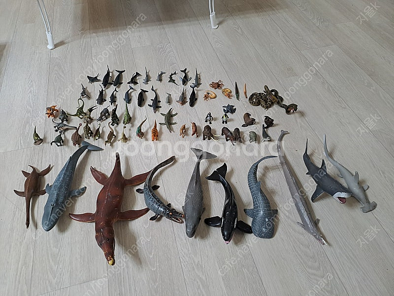 컬렉타 피규어(공룡, 해양생물, 파충류, 포유류 등) ...--0