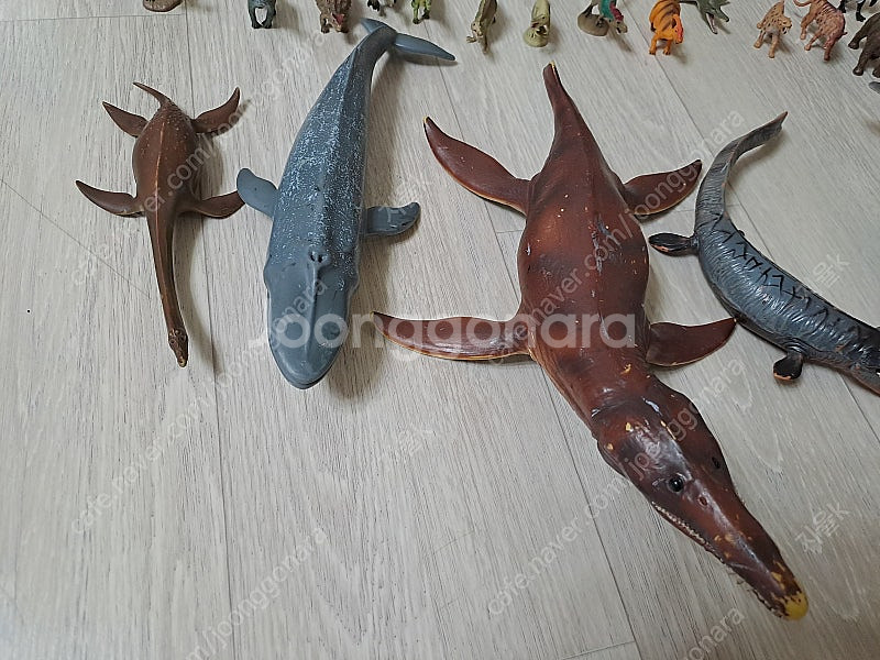 컬렉타 피규어(공룡, 해양생물, 파충류, 포유류 등) ...--1
