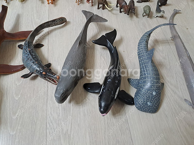 컬렉타 피규어(공룡, 해양생물, 파충류, 포유류 등) ...--2