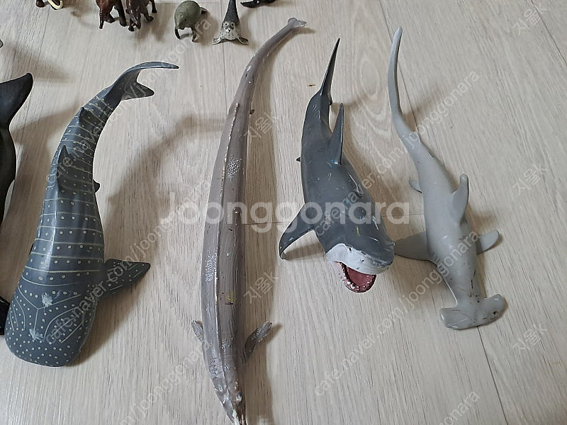 컬렉타 피규어(공룡, 해양생물, 파충류, 포유류 등) ...--3