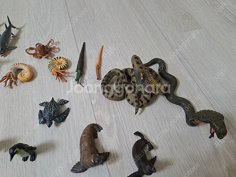 컬렉타 피규어(공룡, 해양생물, 파충류, 포유류 등) ...--6