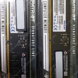 패트리어트 ddr5 5600램 16기가 2개