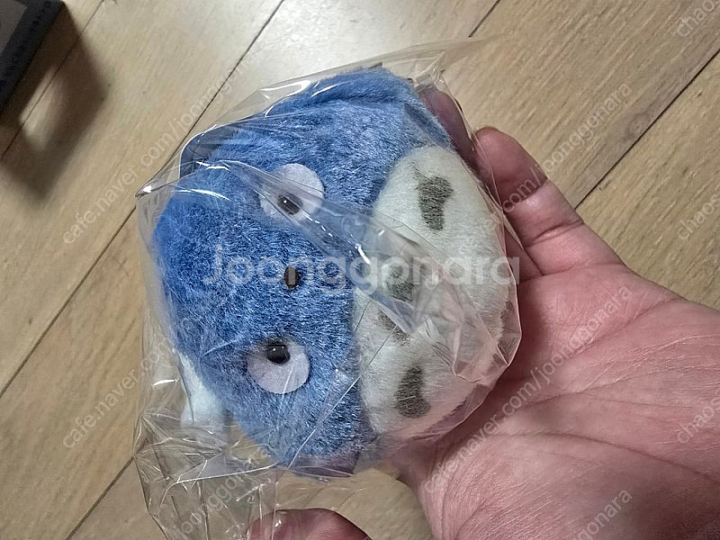 중토토로 풀배카,덜덜이--3