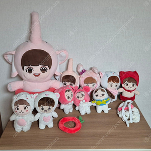엑소 빙의글 책 및 엑소 인형